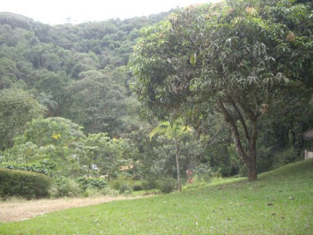 para que se sinta abraçado pela natureza...